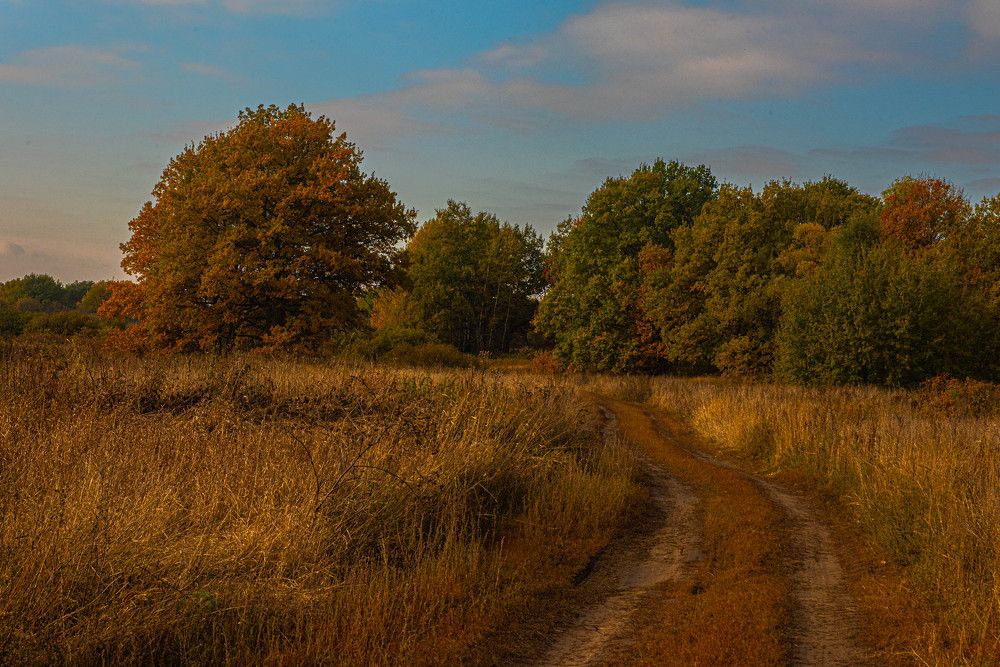 Фотография автора Сергей Сморчков
