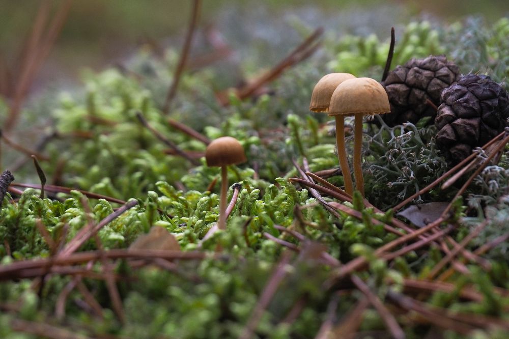 Photograph by Павел Бутко