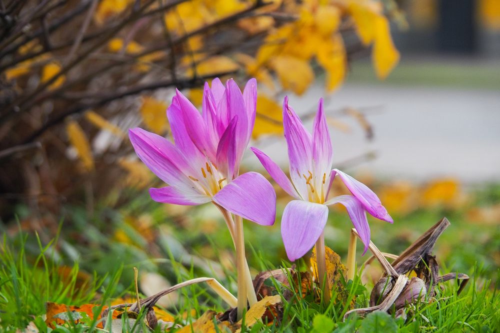 Photograph by Павел Бутко