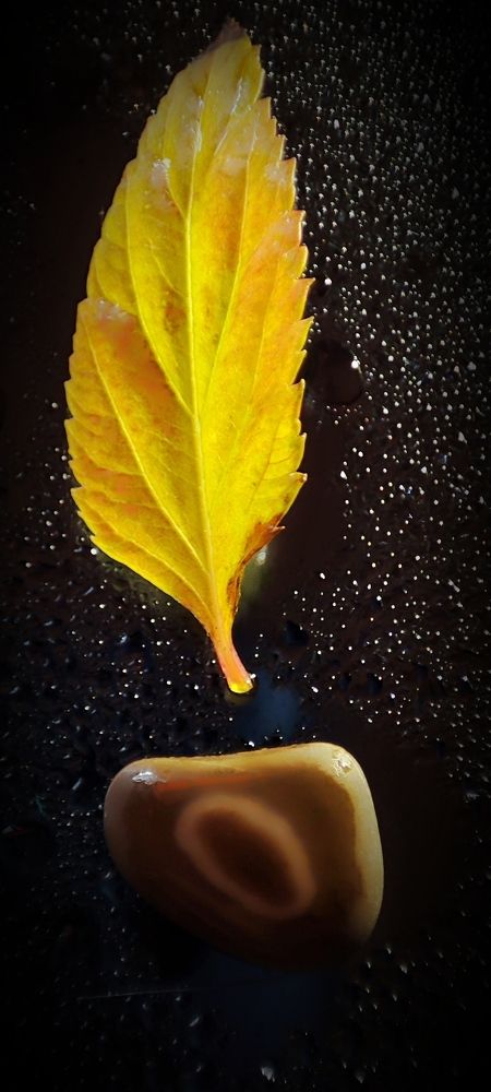 Photograph by Нина Иоселиани