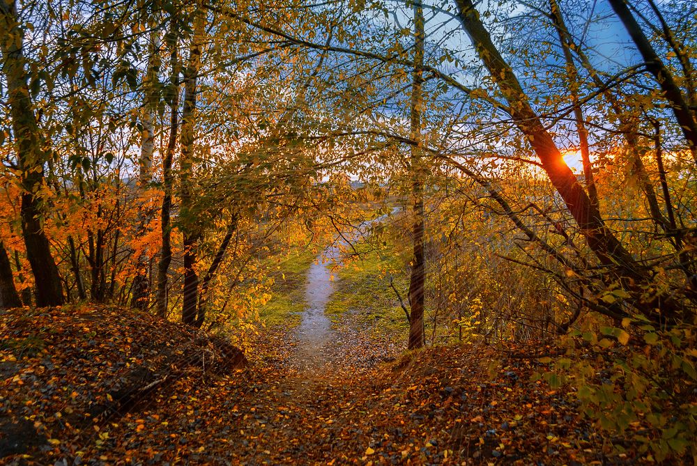 Фотография автора Елена Савельева