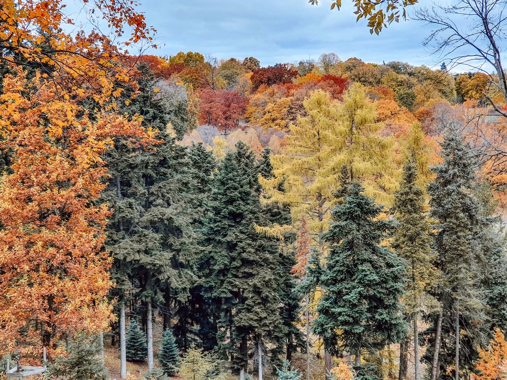 Photograph by Liudmila Kirillova