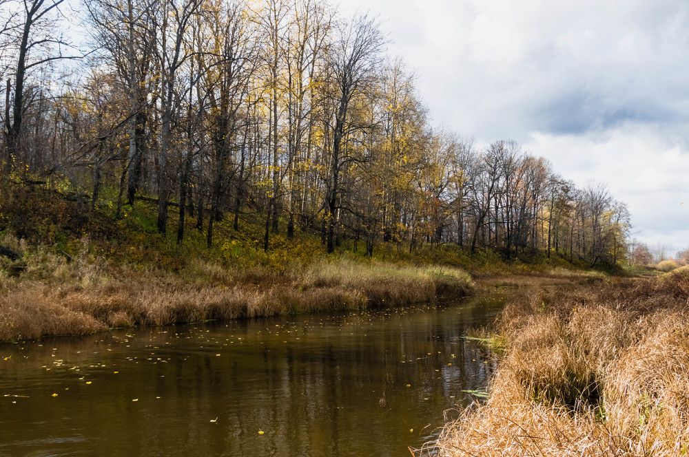 Photograph by Евгений Кузьмин