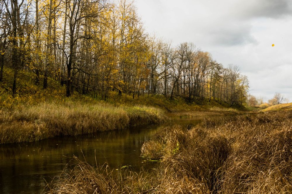 Photograph by Евгений Кузьмин