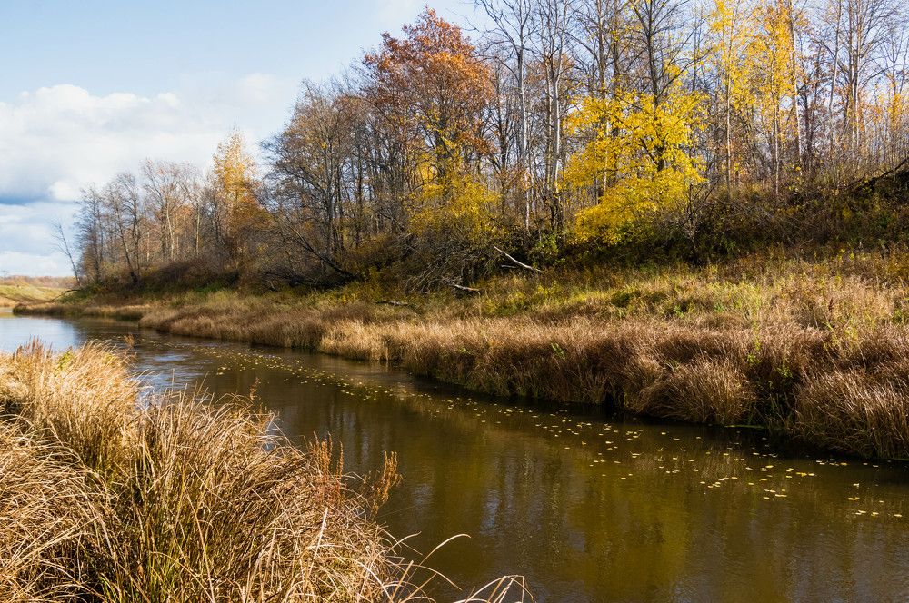 Photograph by Евгений Кузьмин