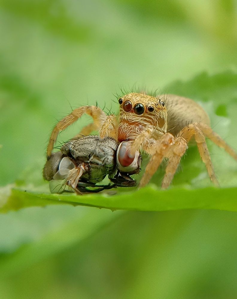 Photograph by Cronia panja