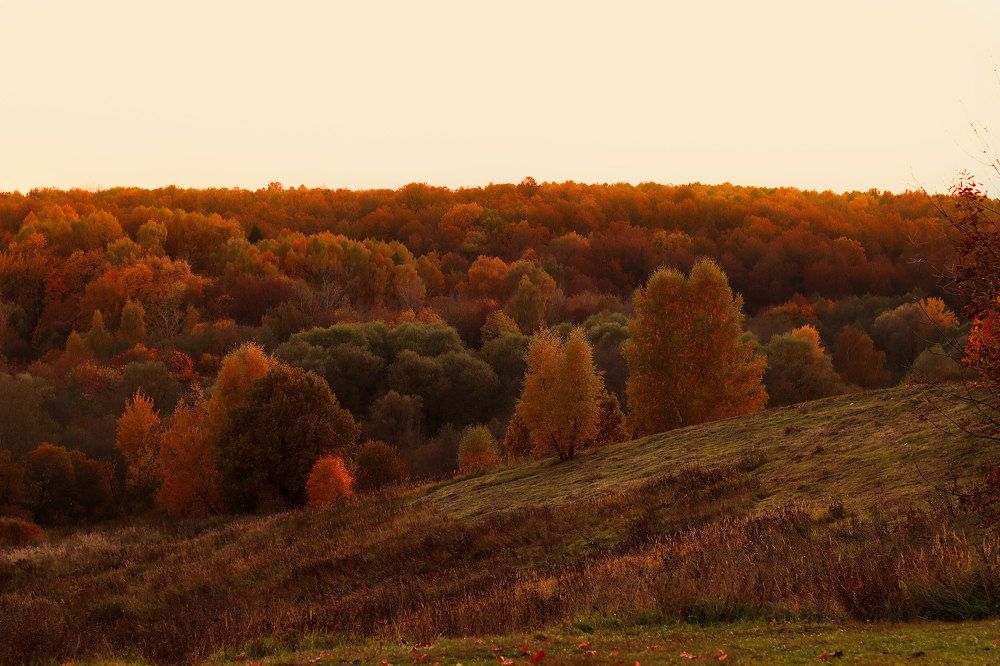 Photograph by Ирина Столбовая