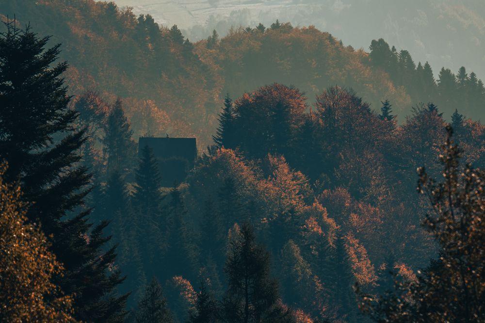 Photograph by Dominik Lipka