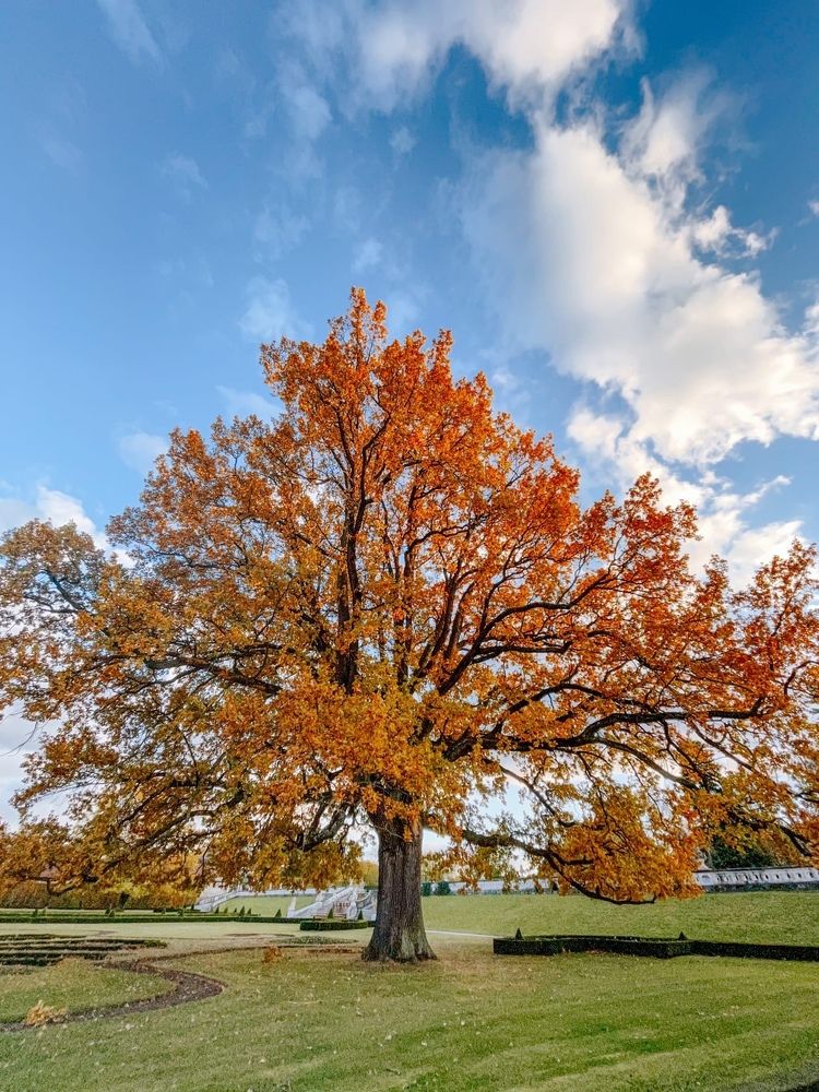 Photograph by Olga Tiurina