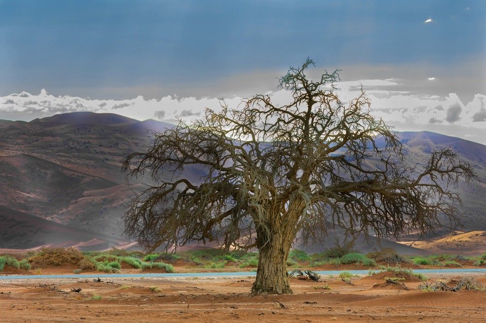 Photograph by Илья Поляк