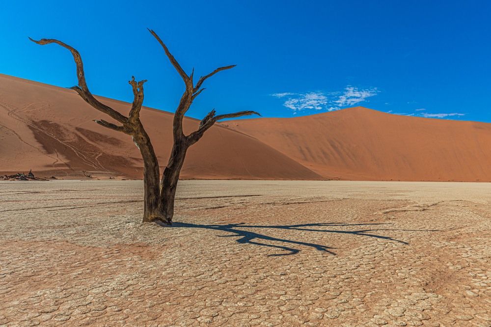 Photograph by Илья Поляк