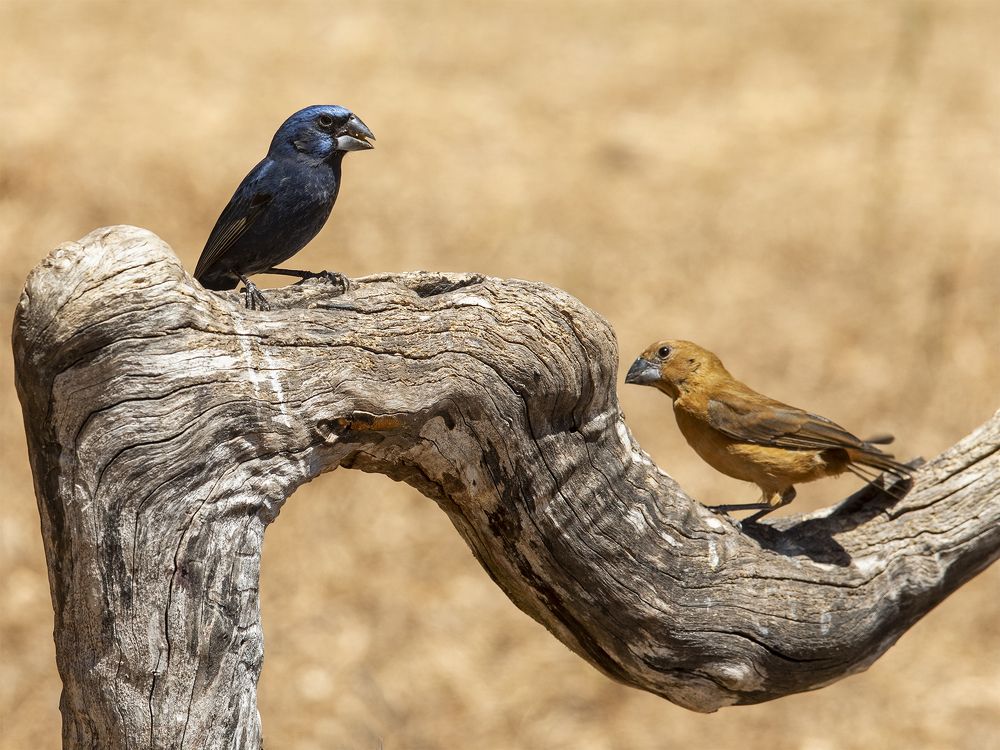 Photograph by Esteban Argerich