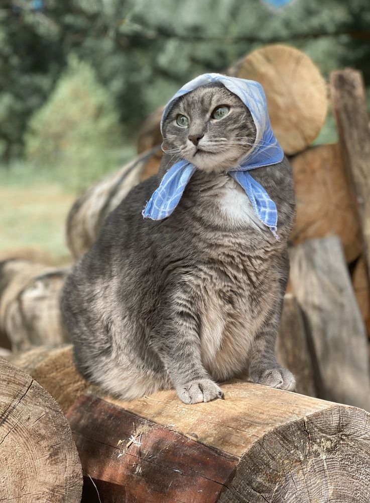 Photograph by Гуляева Светлана