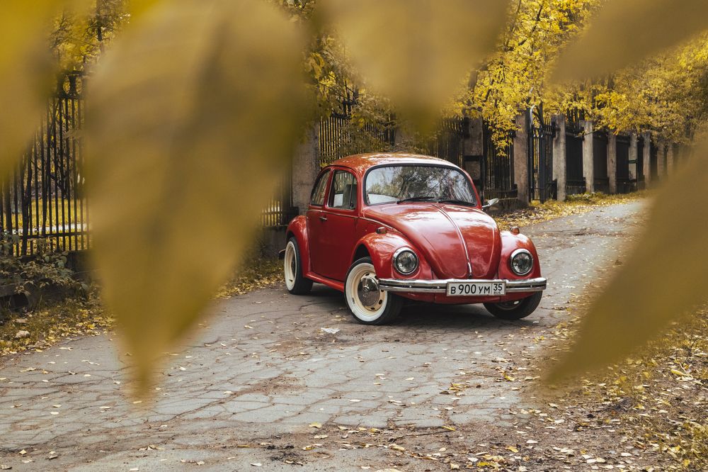 Photograph by Николай Пальцев