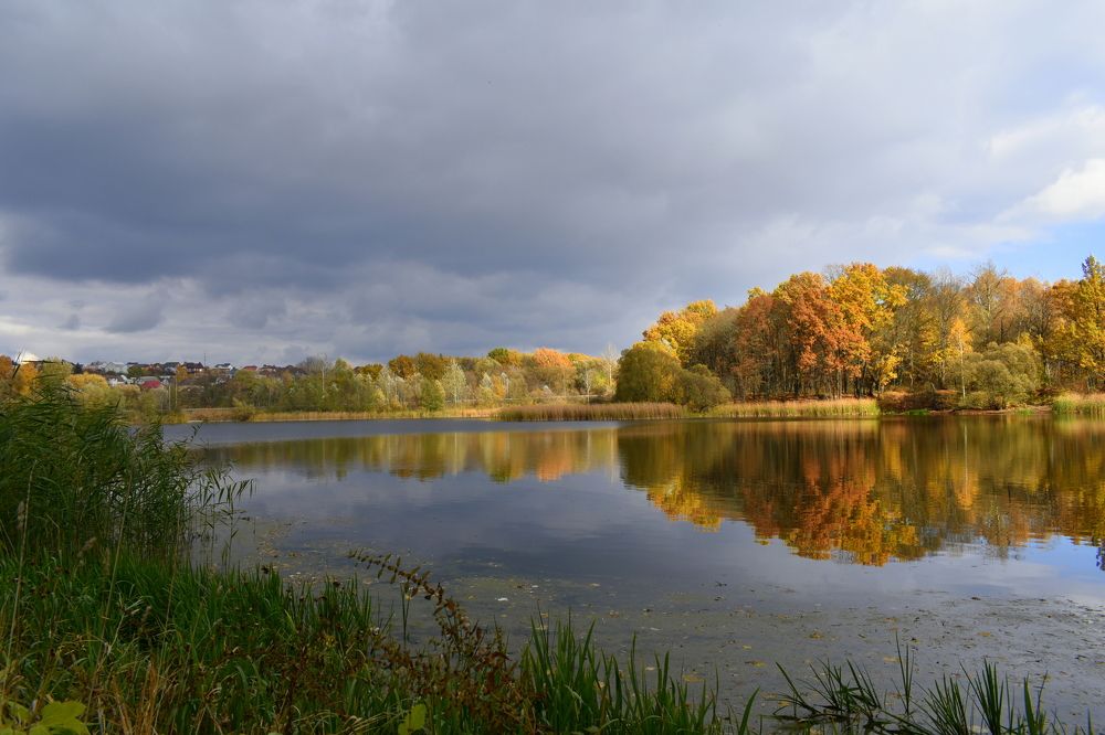 Осеннее настроение