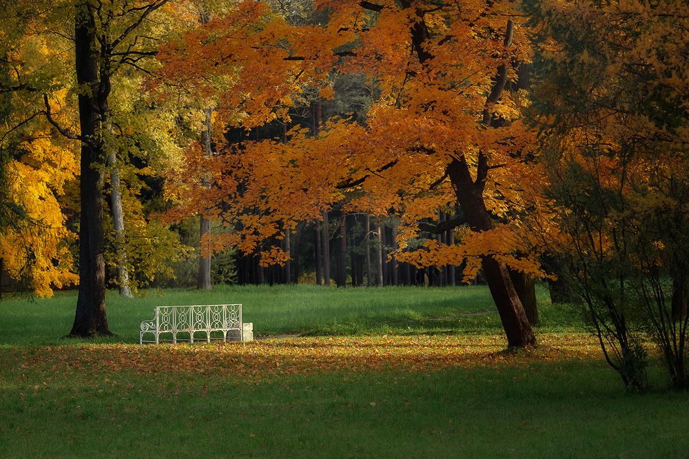 Photograph by Чистякова Валерия