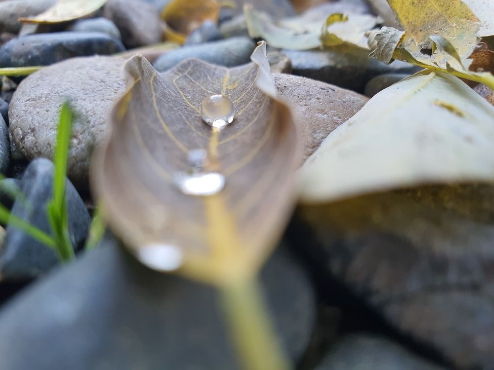 Photograph by Владимир Колатухин