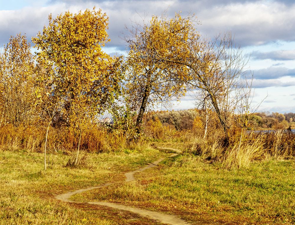 Photograph by Алла Толстая