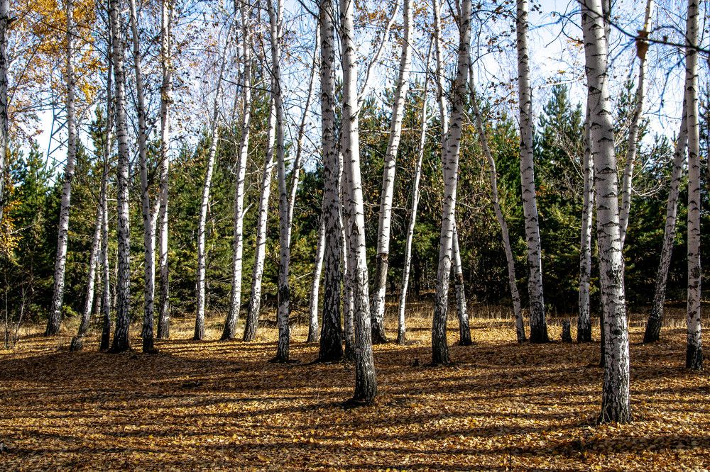 Photograph by Рашид Койлыбаев