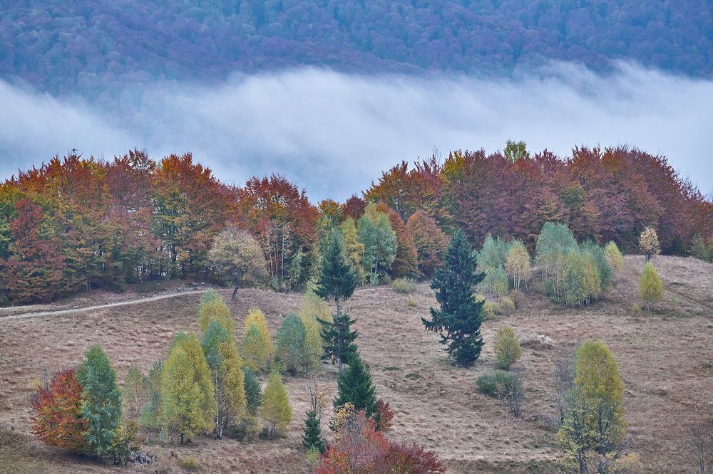 Photograph by Игорь