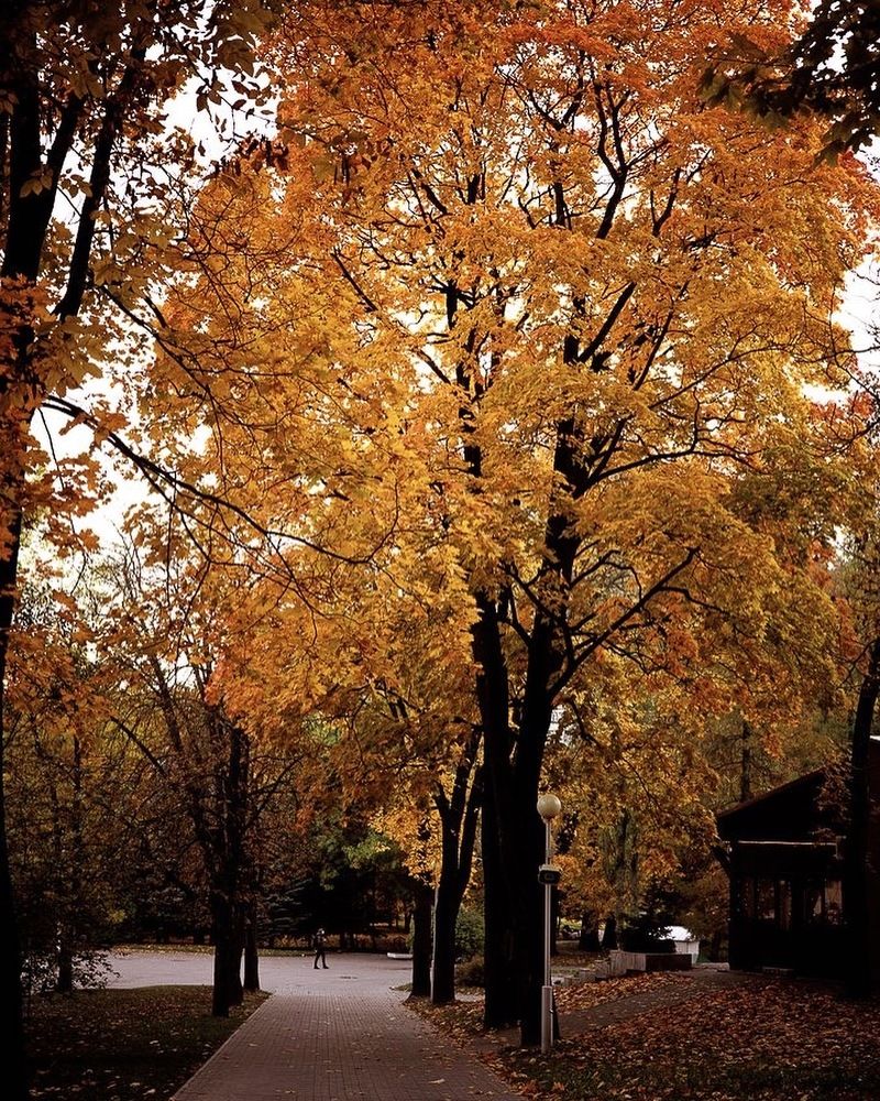 Photograph by Ольга Матус