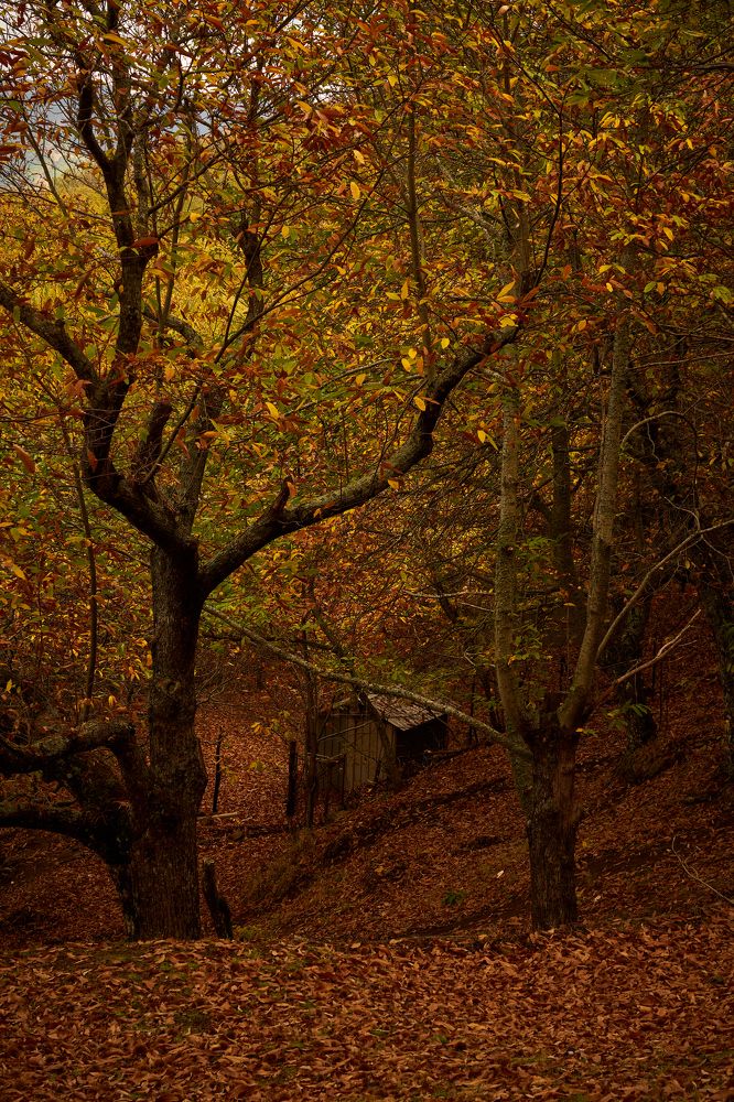 Photograph by Juan Manuel Espinosa Escarcena