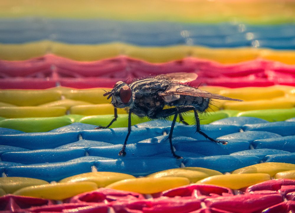 Photograph by Bahrami Ashkan