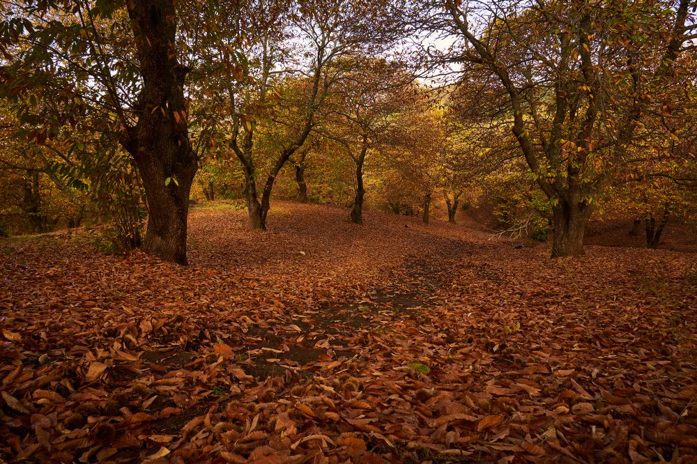 Photograph by Juan Manuel Espinosa Escarcena