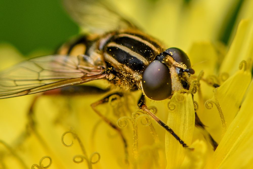 Photograph by Елена Быкова