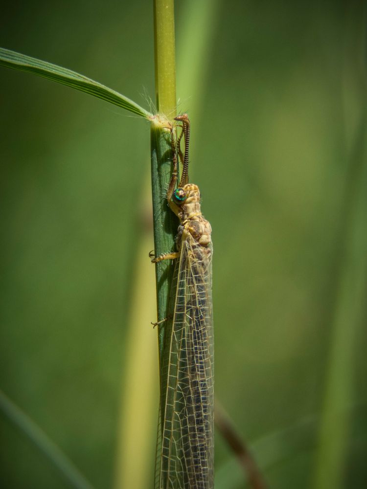 Photograph by Bahrami Ashkan