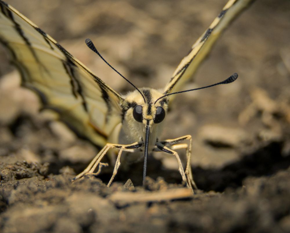 Photograph by Bahrami Ashkan