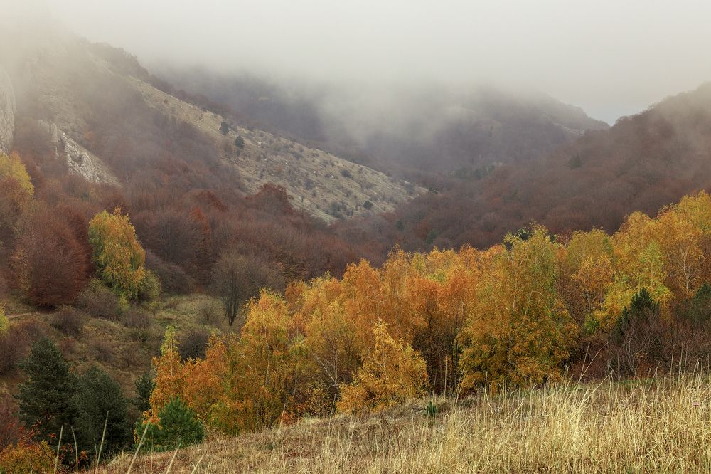 Photograph by Елена Гусева