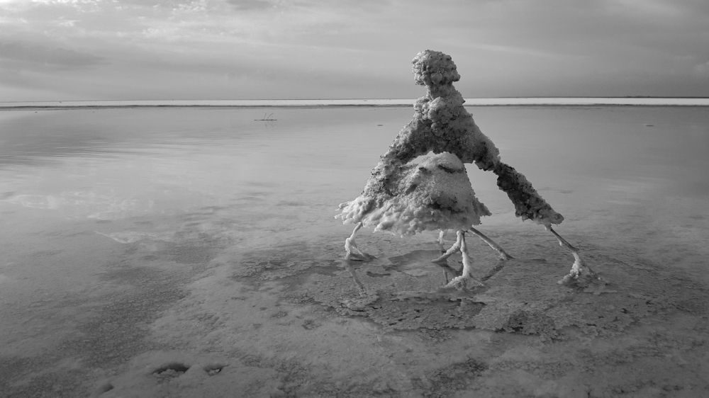 Photograph by Александр Дудников