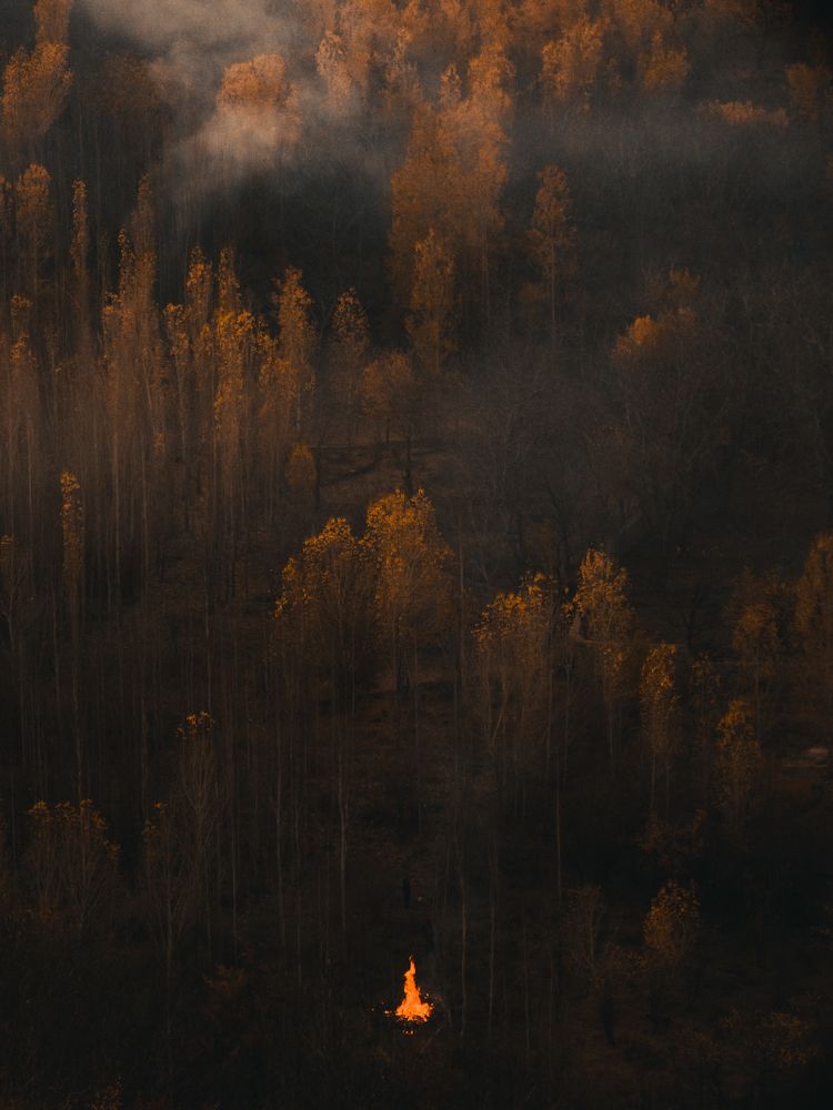 Photograph by Bahrami Ashkan