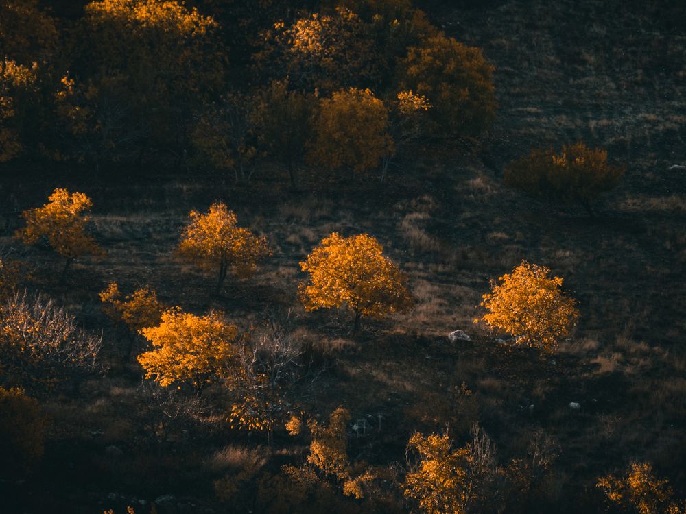 Photograph by Bahrami Ashkan