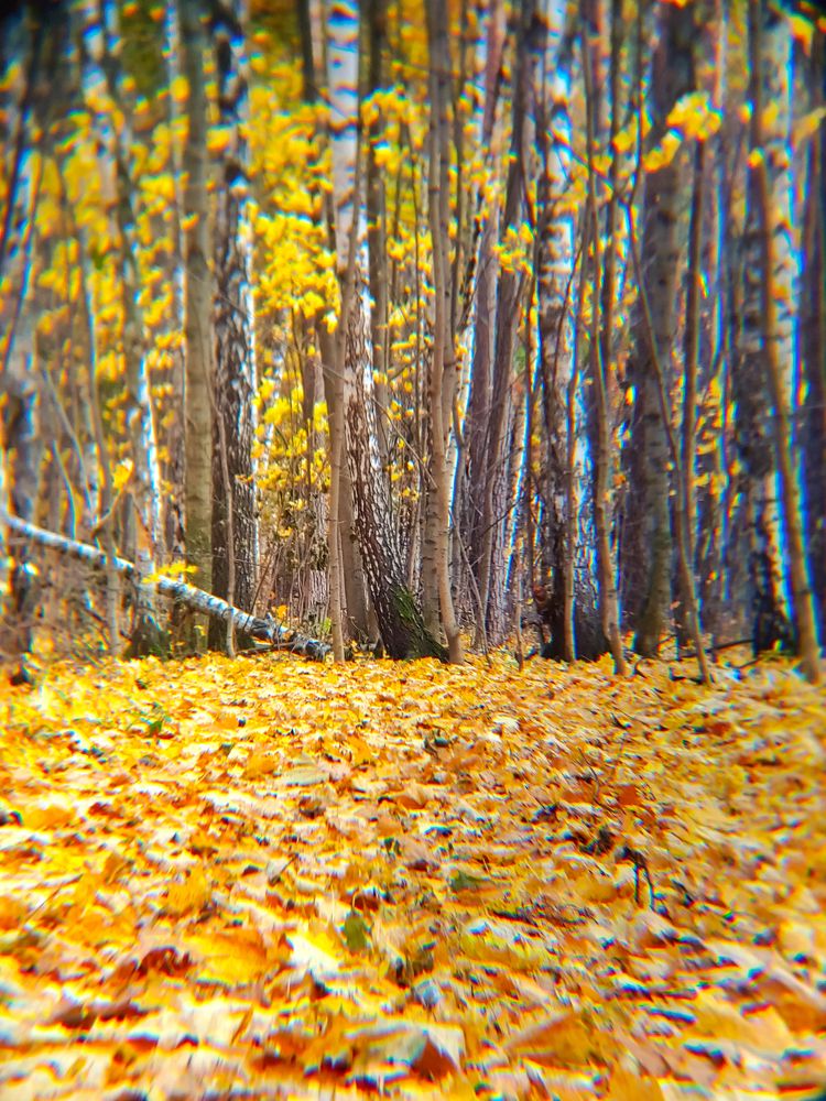 Photograph by Артур Арутюнов