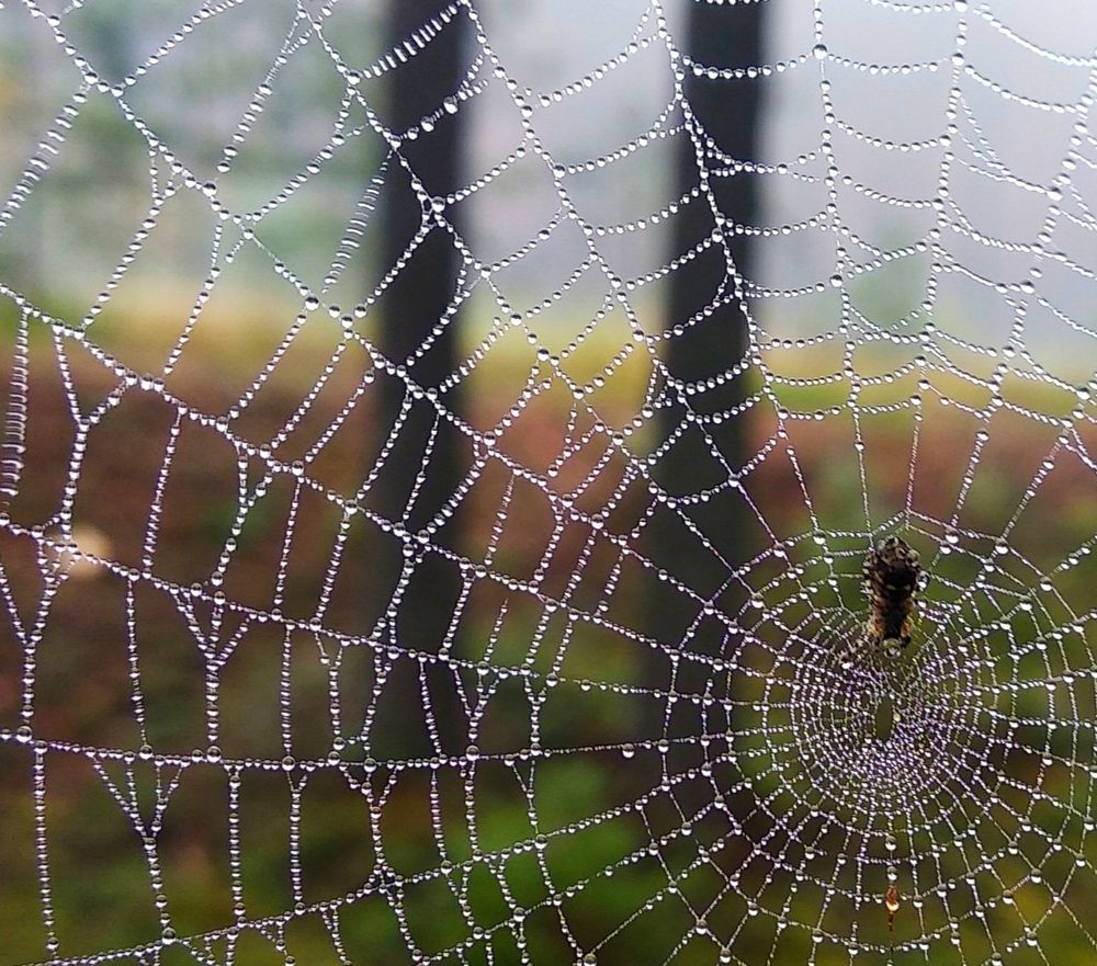 Photograph by Ирина Чагина