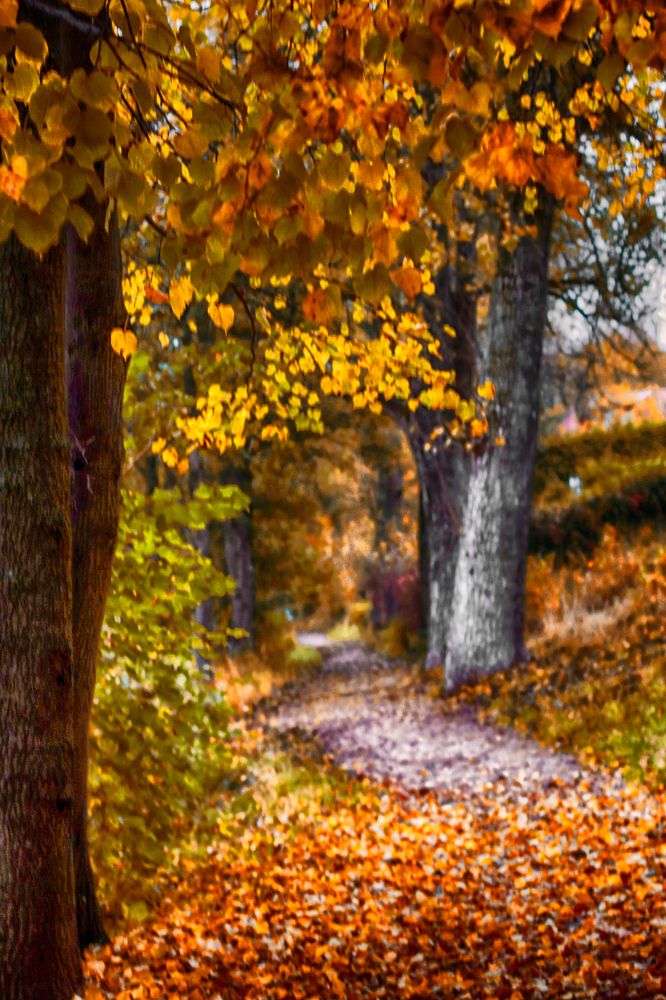 Photograph by Anna Suchcicka