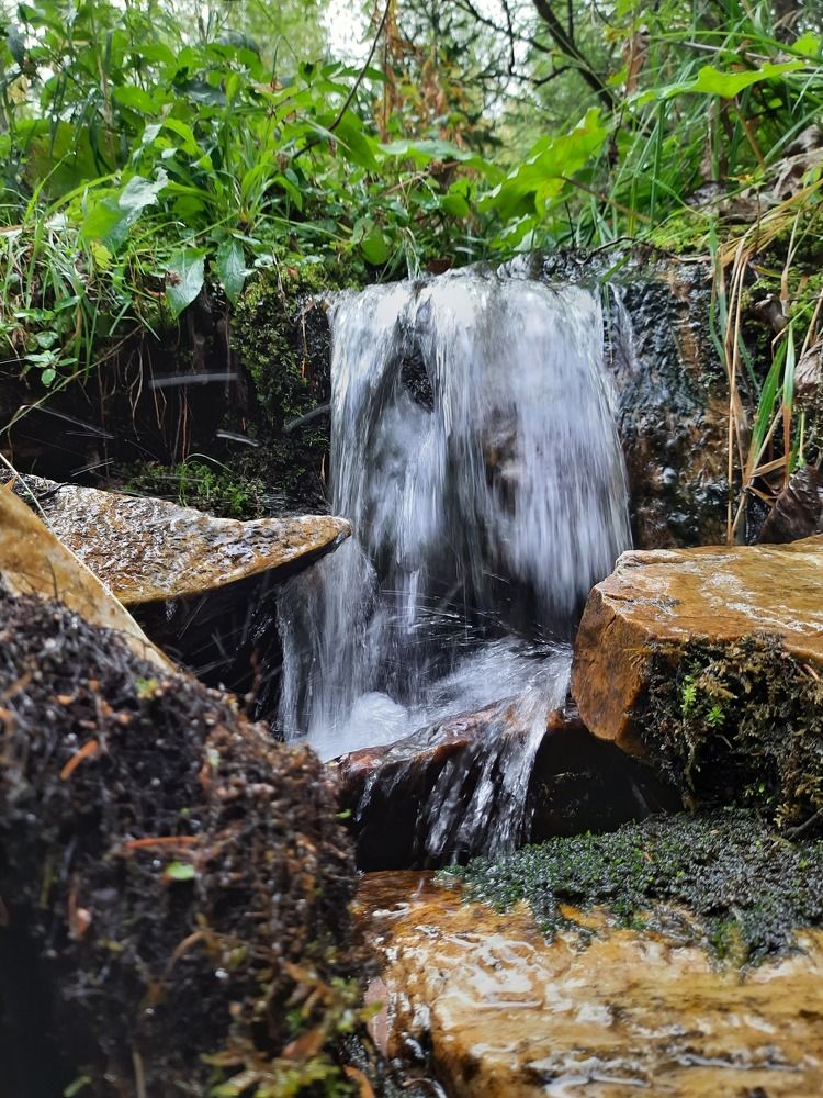 Фотография автора Ксения