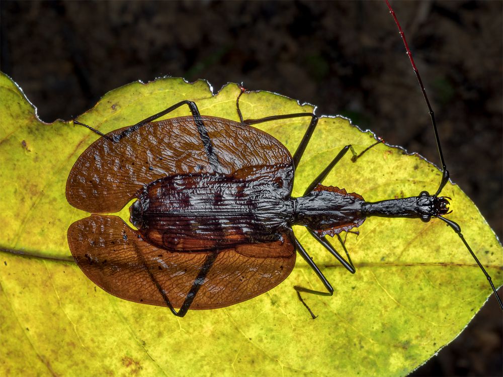 Photograph by Alstein Lai