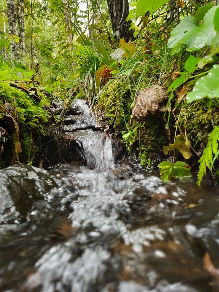Фотография автора Ксения