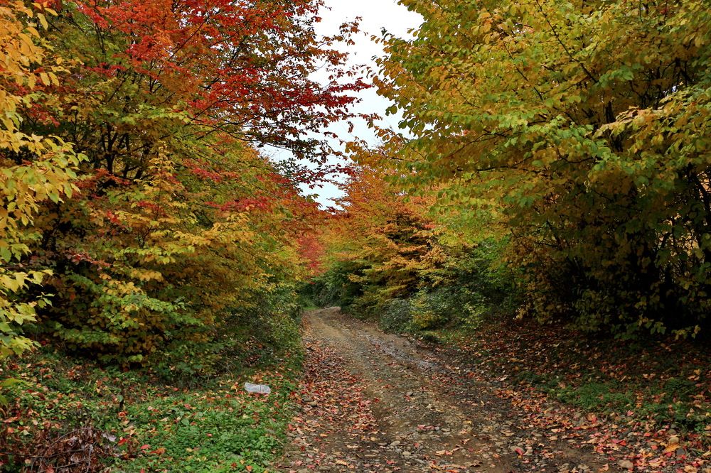 Photograph by Mikail Qasanov