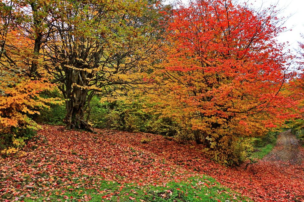 Photograph by Mikail Qasanov