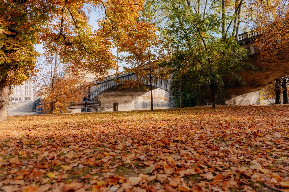 Photograph by Olga Tiurina