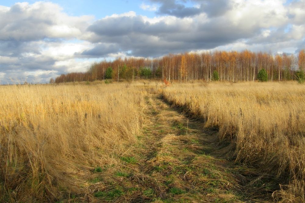 Дорога в осень