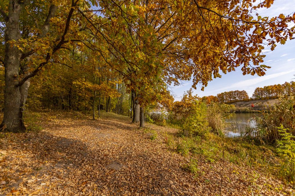 Photograph by Яна Толмачёва