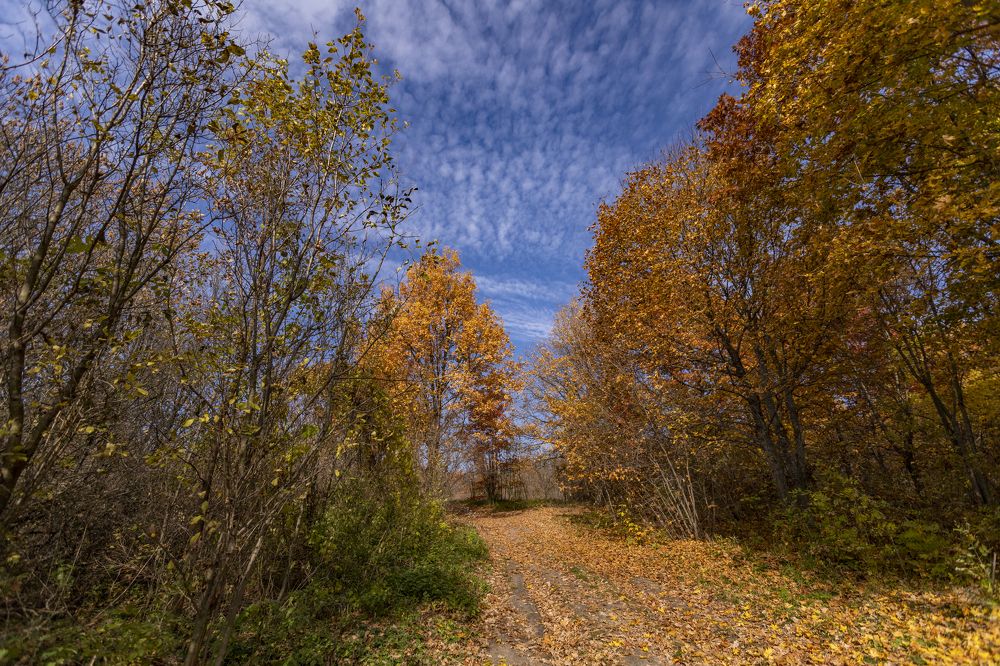 Photograph by Яна Толмачёва