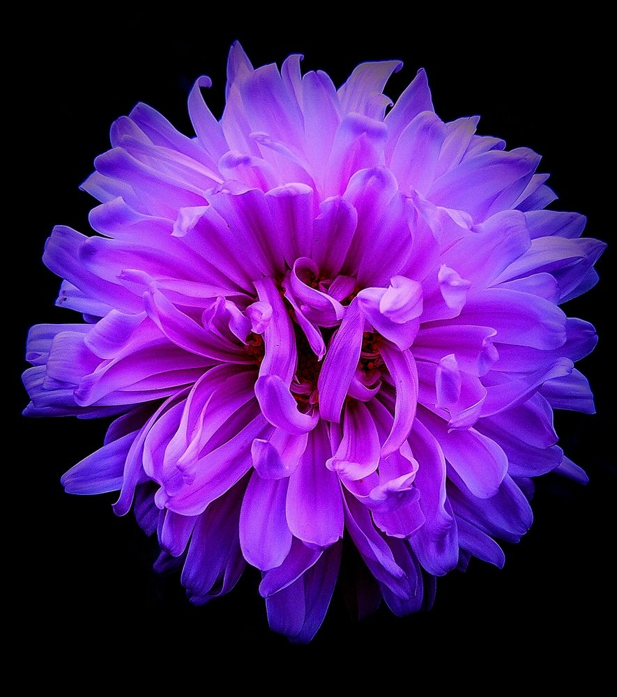 Фотография автора Svetlana Tsvetanova