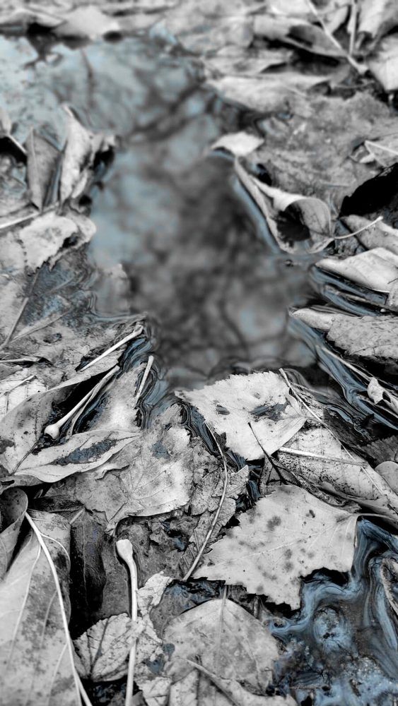 Photograph by Татьяна Ковалева