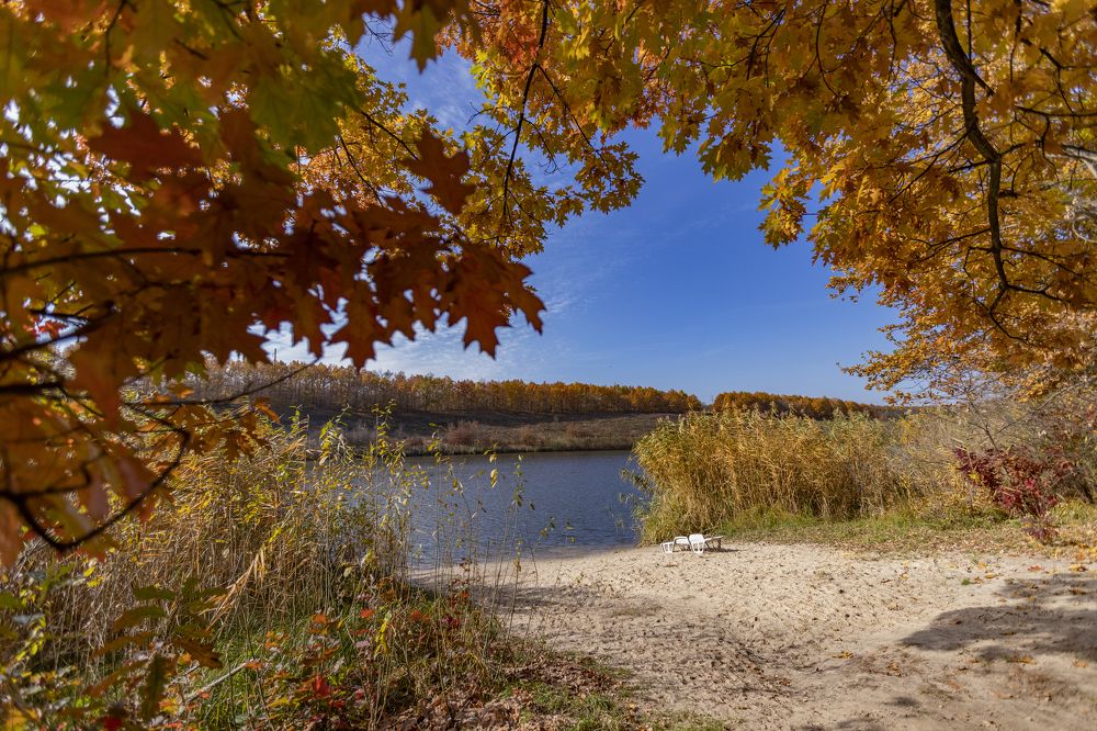 Photograph by Яна Толмачёва